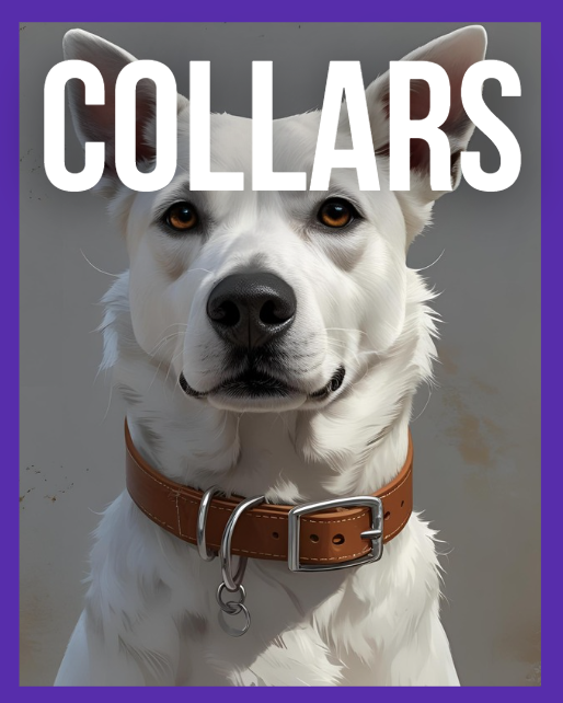 COLLARS