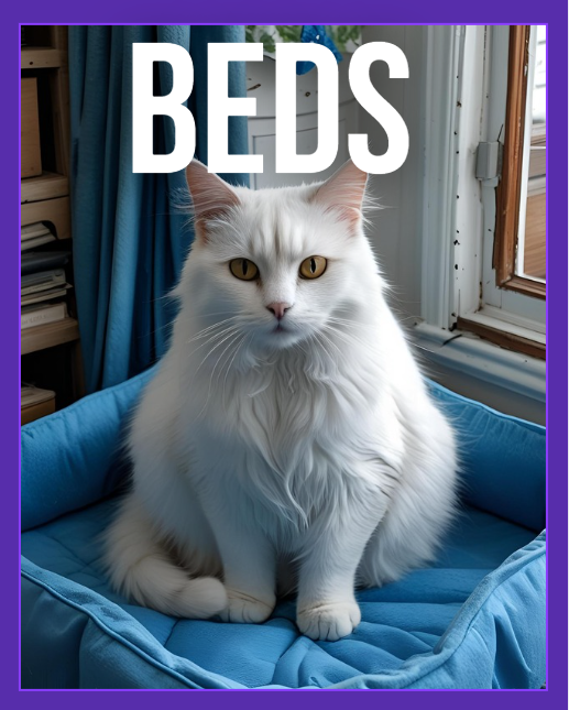 BEDS