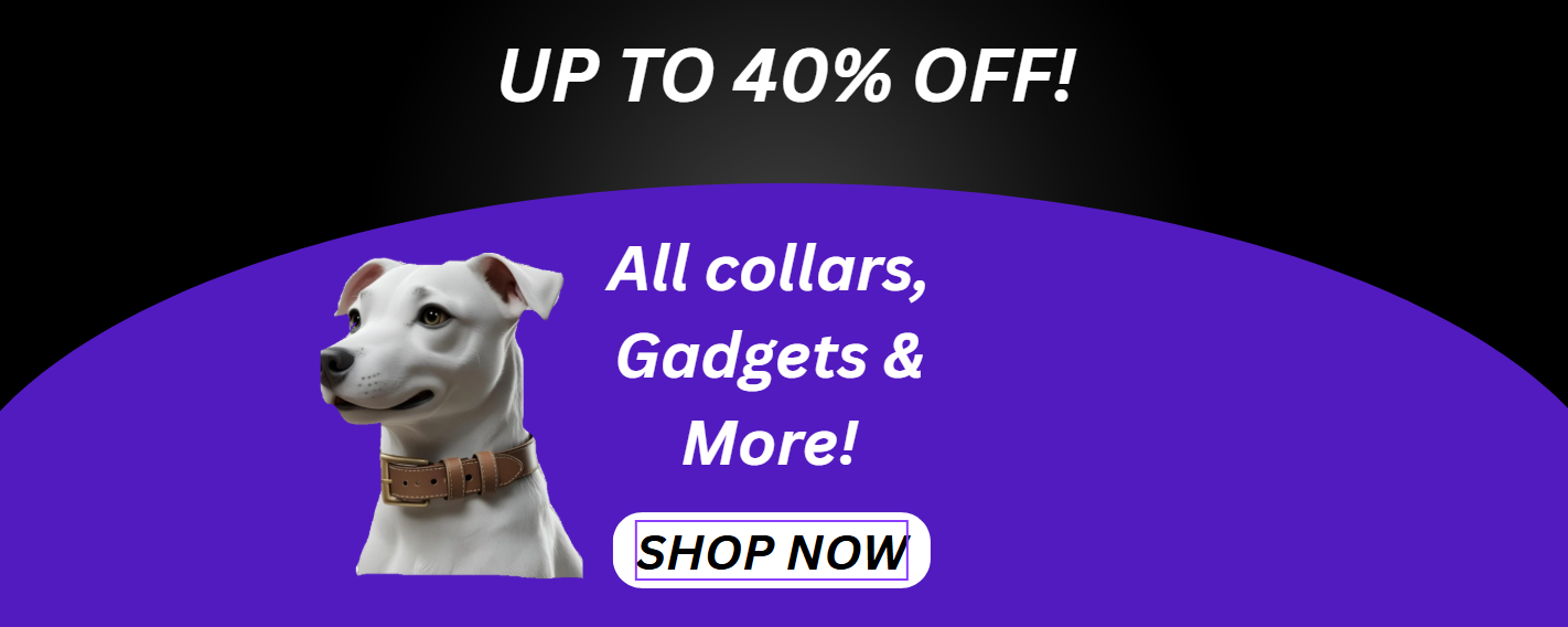 UP 40% OFF Collars, Gadgets & More!